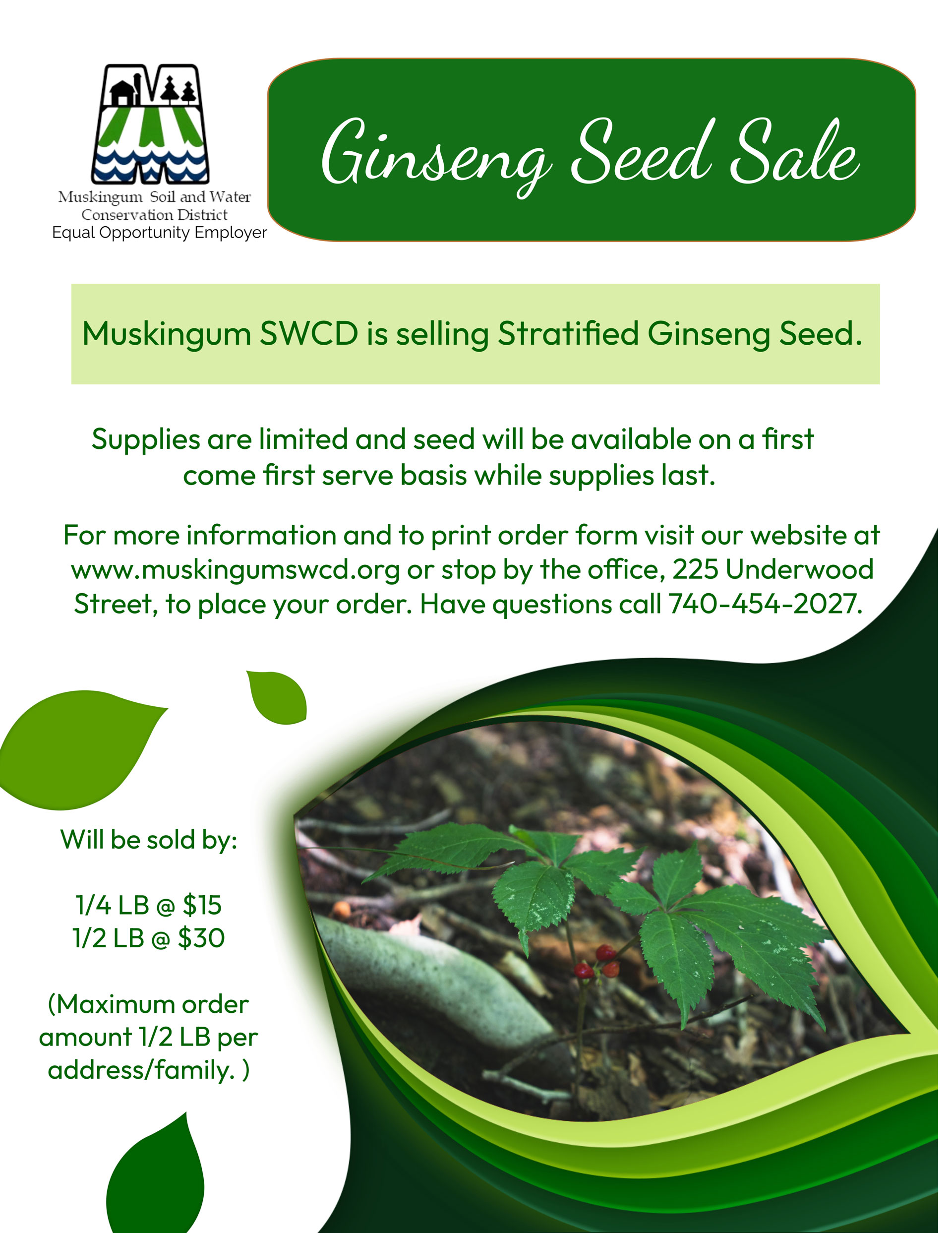 Ginseng Seed Sale