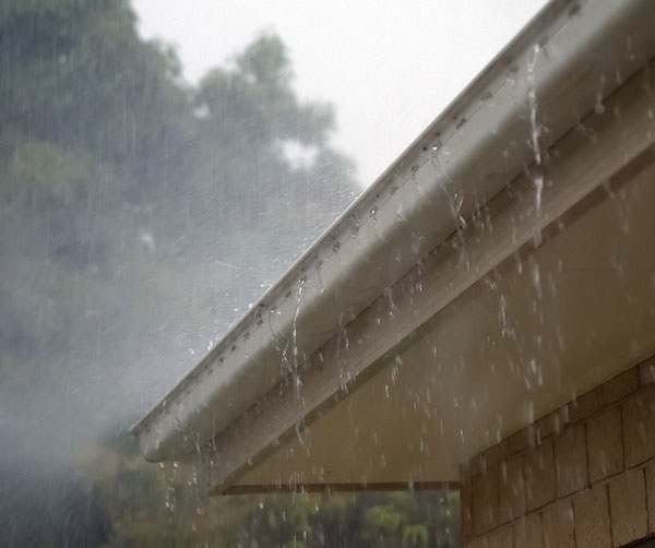 Conservation Impact of Gutters