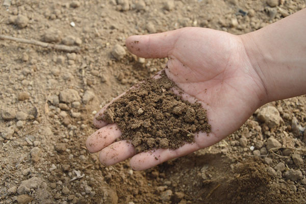 Muskingum Soil And Water Conservation District - Soils
