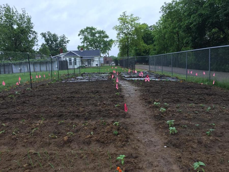 Muskingum Soil And Water Conservation District Urban Agriculture