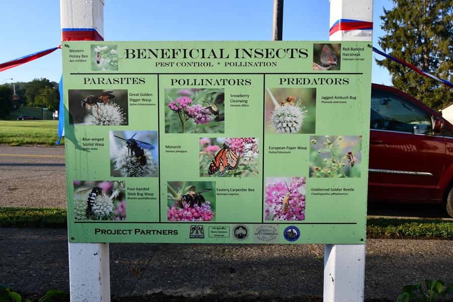 Back of garden sign with insect information.